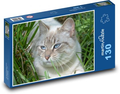Jasny kot z niebieskimi oczami w trawie - Puzzle 130 elementów, rozmiar 28,7x20 cm