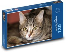 Zbliżenie na portret kota Puzzle 130 elementów - 28,7x20 cm