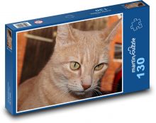 Prenikavý pohľad mačky Puzzle 130 dielikov - 28,7 x 20 cm 