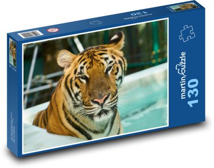 Tiger im Wasser - Puzzle - 130 Teile