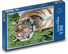 Tiger Puzzle 130 dielikov - 28,7 x 20 cm 