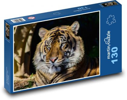 Ein im Schatten ruhender Tiger - Puzzle - 130 Teile
