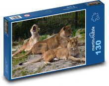 Lwica sawanna w spoczynku Puzzle 130 elementów - 28,7x20 cm