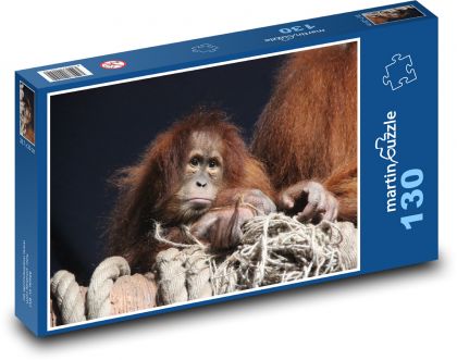 Orangutan na kłodzie z linami - Puzzle 130 elementów, rozmiar 28,7x20 cm
