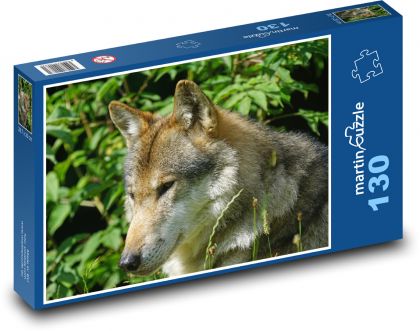 Wolf - wild beast - Puzzle 130 pieces, size 28.7x20 cm 