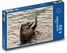 Lew morski machający płetwami z wody Puzzle 130 elementów - 28,7x20 cm