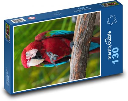 Ara červený, exotický papoušek - puzzle 130 dílků