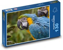 Pták - Ara Puzzle 130 dílků - 28,7 x 20 cm