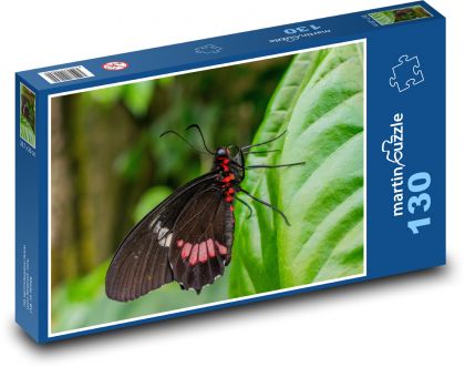 Hnedý motýľ na zelenom liste - Puzzle 130 dielikov, rozmer 28,7x20 cm 