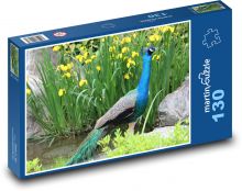 Páv na břehu rybníka Puzzle 130 - 28,7x20 cm