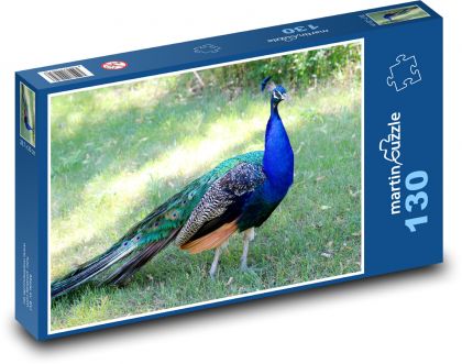 Peacock - Puzzle 130 dielikov, rozmer 28,7x20 cm 