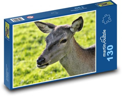 Flachs auf der Weide - Puzzle - 130 Teile