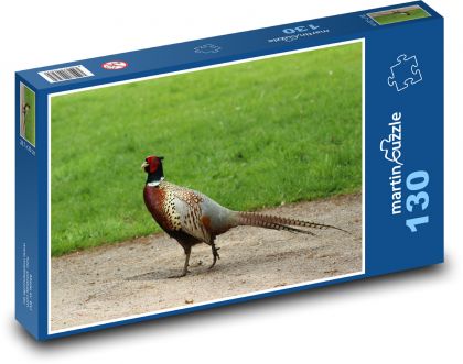 Fasan im Gehäuse - Puzzle - 130 Teile