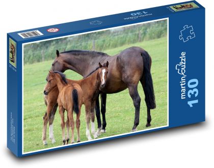 Kobyla s hříbaty na pastvě - puzzle 130 dílků