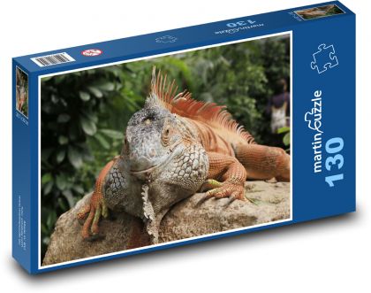 Leguán vyhrievajúci sa na kameni - Puzzle 130 dielikov, rozmer 28,7x20 cm 
