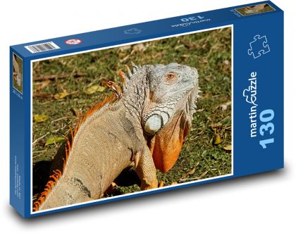 Leguan mit einem riesigen Halslappen - Puzzle - 130 Teile