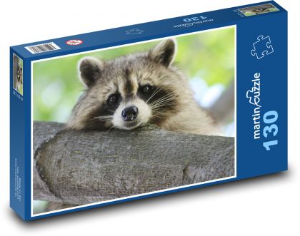 Mýval ležící na větvi - puzzle 130 dílků