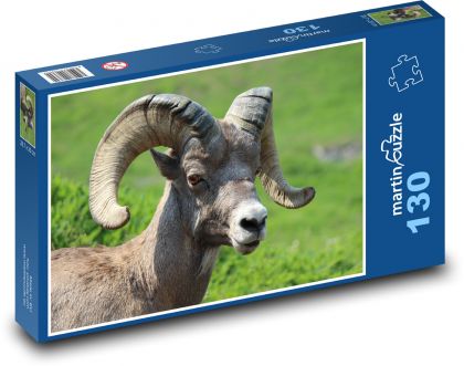 Ovce Bighorn - Puzzle 130 dielikov, rozmer 28,7x20 cm 