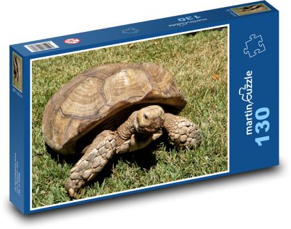 Schildkröte in Bewegung - Puzzle - 130 Teile