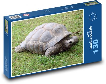 Želva s krunýřem - puzzle 130 dílků