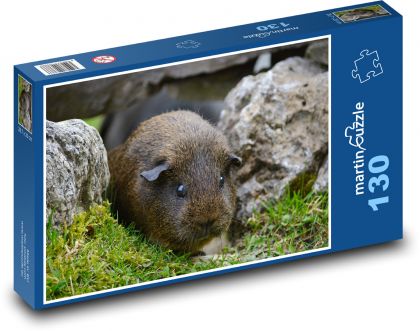 Morča ukryté medzi skalami - Puzzle 130 dielikov, rozmer 28,7x20 cm 