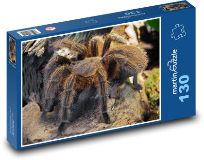 Spider with furry legs - Puzzle 130 pieces, size 28.7x20 cm 