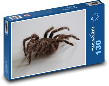 Tarantula - nočný pavúk - Puzzle 130 dielikov, rozmer 28,7x20 cm 