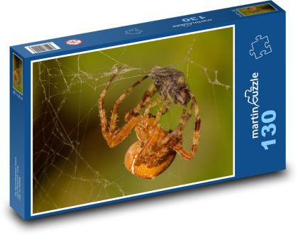 Spider on a web - Puzzle 130 pieces, size 28.7x20 cm 