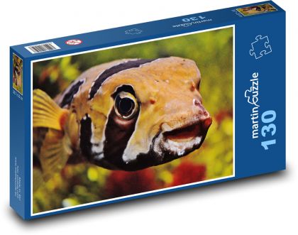 Exotická ryba s otevřenou tlamou - puzzle 130 dílků