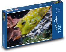 Žlutá tečkovaná ryba Puzzle 130 dílků - 28,7 x 20 cm
