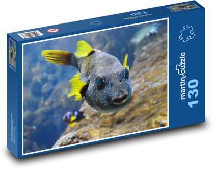 Gelbflossenfisch - Puzzle - 130 Teile