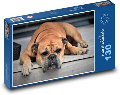 Dog - Continental Bulldog - Puzzle 130 pieces, size 28.7x20 cm 
