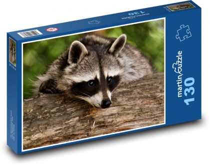 Raccoon in the woods on a tree - Puzzle 130 pieces, size 28.7x20 cm 