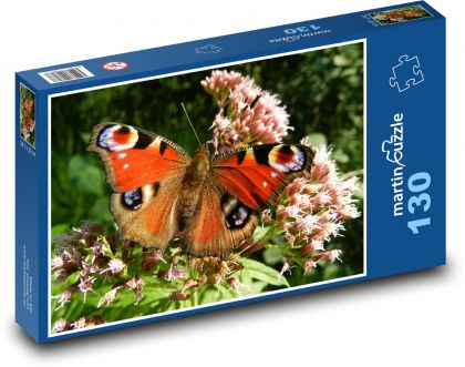 Peacock butterfly on a flower - Puzzle 130 pieces, size 28.7x20 cm 