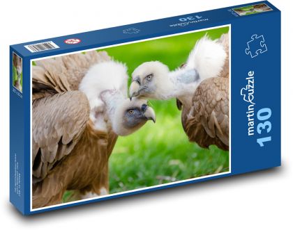 Weißkopfgeier, Jungtiere - Puzzle - 130 Teile