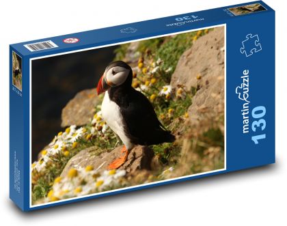 Papuchalk bělobradý, mořský pták v přírodě - puzzle 130 dílků