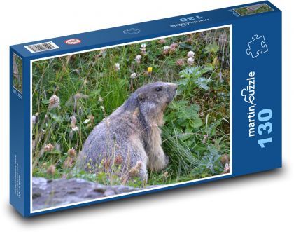 Austria - the Alps, the marmot - Puzzle 130 pieces, size 28.7x20 cm 