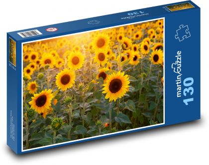 slnečnicové pole - Puzzle 130 dielikov, rozmer 28,7x20 cm 