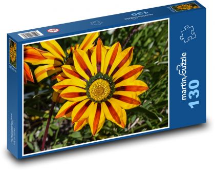 Žlutá Gazánie - květina - puzzle 130 dílků