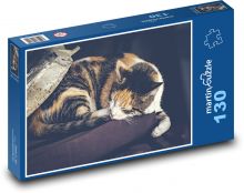 Kočka spí Puzzle 130 dílků - 28,7 x 20 cm