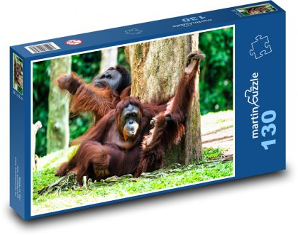 Orangutan - Puzzle 130 dielikov, rozmer 28,7x20 cm 