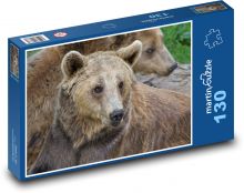 brązowy niedźwiedź Puzzle 130 elementów - 28,7x20 cm