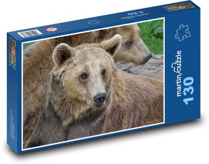 Medvěd hnědý - Puzzle 130 dílků, rozměr 28,7x20 cm