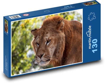 Lion - Puzzle 130 pieces, size 28.7x20 cm 