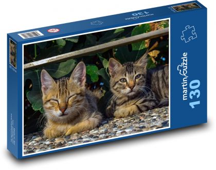 Kočky - Puzzle 130 dílků, rozměr 28,7x20 cm