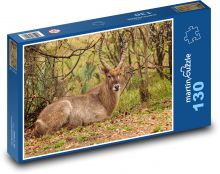 Safari - antilopa Puzzle 130 - 28,7x20 cm