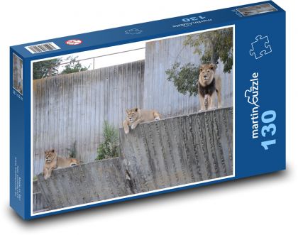 Zoo - lions - Puzzle 130 pieces, size 28.7x20 cm 