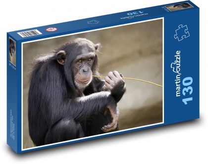 Šimpanz učenlivý - Puzzle 130 dílků, rozměr 28,7x20 cm