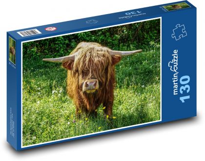 Skotský náhorní skot - Puzzle 130 dílků, rozměr 28,7x20 cm