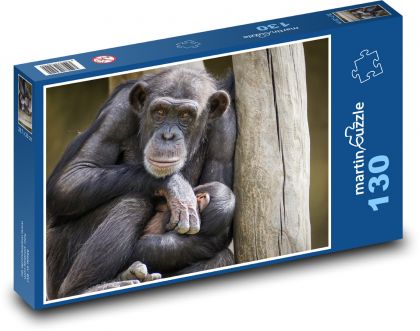 Chimpanzee, monkey - Puzzle 130 pieces, size 28.7x20 cm 